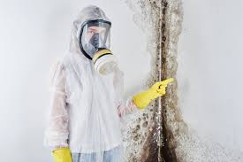 Professional Mold Inspection in Iola, WI